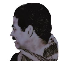 الصوت الأصلي