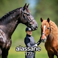 alassanepouye90