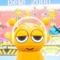 pete3008