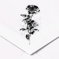 du_nia04