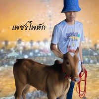 user5161953361949
