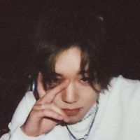 오리지널 사운드 - 보정진심녀