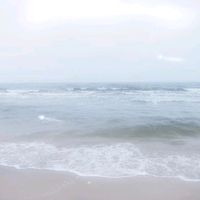 shinoblueb3rry