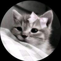 tanha_8711