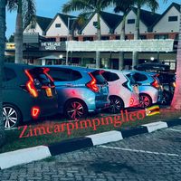 zimcarpimping1leo