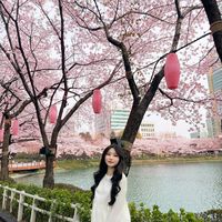 nhạc nền - 🐰Mee 🐰