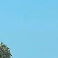 original sound - .fiatoria