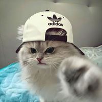 mmiv_ws