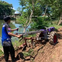 naraphat890