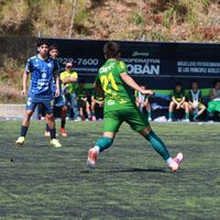 andreeff081