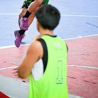 เสียงต้นฉบับ - ลิงเเดง