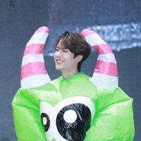 yibo.8500