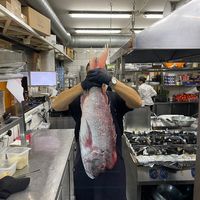 shoqata.e.kuzhiniereve