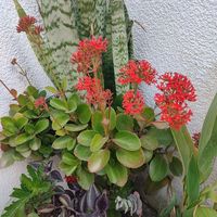 letafe_2022