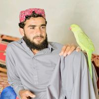 punnalkhan15