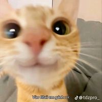 nhạc nền - em cx bt suy mà?