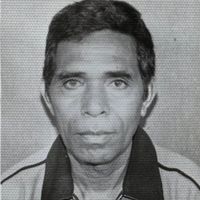 suara asli