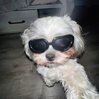 bjnomiras