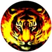 original sound - nathannathan404