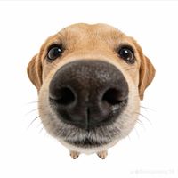 nhạc nền - Thuỳ Trang