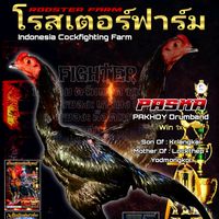 roosterfram