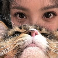 оригинальный звук