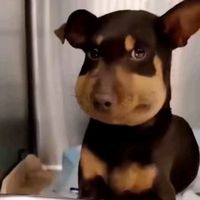 เสียงต้นฉบับ - พ้มชอบใส่ชุดพละ