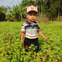 chitmin8568
