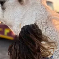 original sound - wr2.y