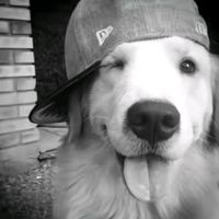 lizin777