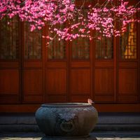 nhạc nền - tourismchina