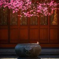 original sound - tourismchina