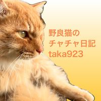 オリジナル楽曲 - 野良猫のチャチャクロの日常にゃあtaka923