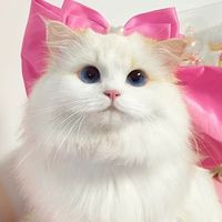 ぼっちはいりまぁす