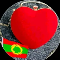 original sound - shaashe66