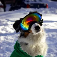 original sound - tokyo.the_aussy