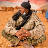 gamou.eleveur775877033