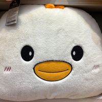 kankenshinx