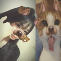 原聲 - 猩猩🦍
