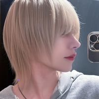 avar_ice17