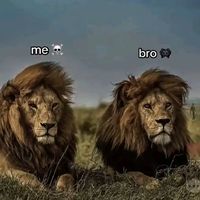 NI RU TA
