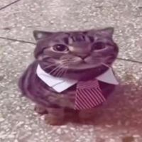 suara asli - ִֶָ࣪☾.Xinn