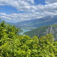 44_vata