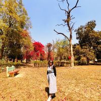 usha_523