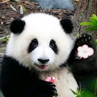 原聲 - 今天也要开心吖!!