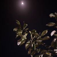 aesthatic_092