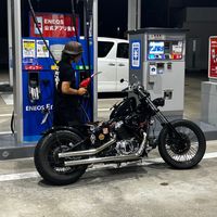 gastr25