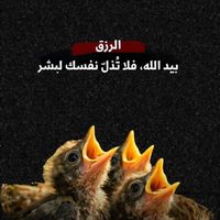 kawtar.salwiya2