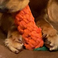 オリジナル楽曲 - クリクリソーダ🍦🥤