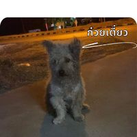 gyeon22789